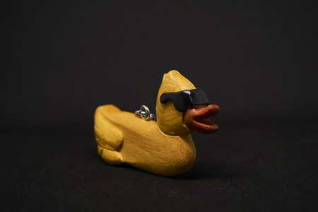 A cool duck with a black backgroundの写真素材