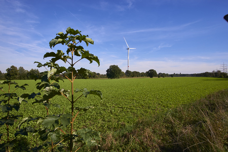 a windmill in a landscape pictureの写真素材