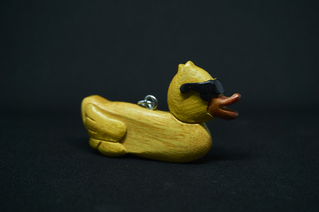 A cool duck with a black backgroundの写真素材