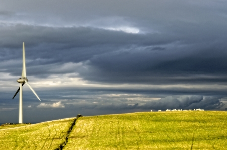 Wind turbine and sheepの写真素材