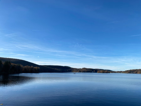 landscape of a lake with trees and blue sky on a sunny day