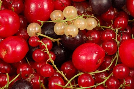 Fresh and juicy fruits backgroundの写真素材