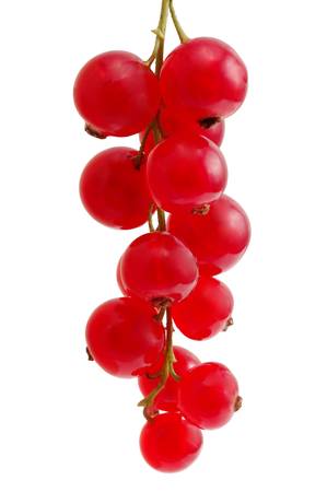 Red currant isolated over white background