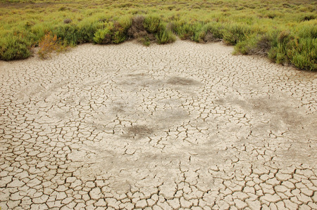 Cracked, parched land in the Camargue, Franceの写真素材