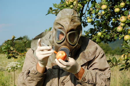 Man in gas mask preparing contaminated apples