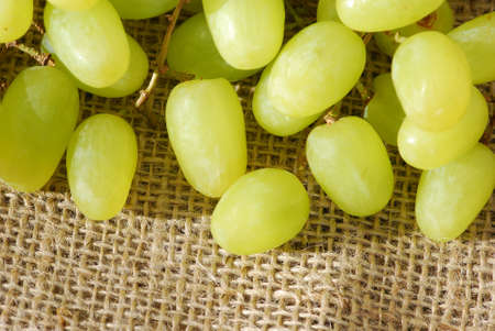 Vine grapes on burlap
