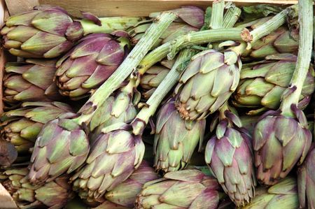 artichokeの写真素材