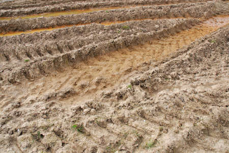 tyre tread pattern in mudの写真素材