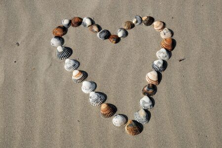 Heart made of shells on the beach