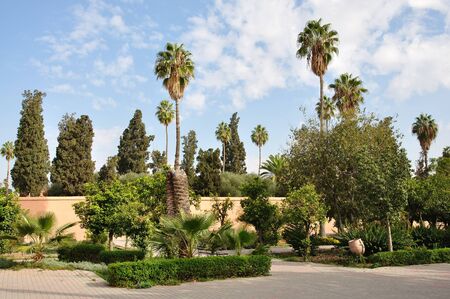 Park in Marrakech, Moroccoの写真素材