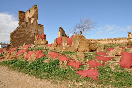 Dyed animal skins drying in Fes, Moroccoの写真素材