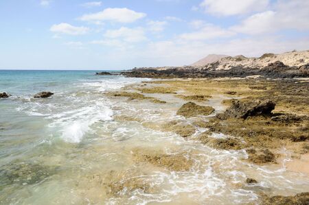 Rocky coastline on Canary Island Fuerteventura, Spain