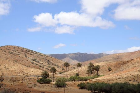 Landscape on Canary Island Fuerteventura, Spainの写真素材