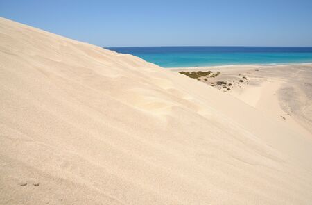 Sand Dune near Playa de Sotavento, Canary Island Fuerteventura, Spainの写真素材