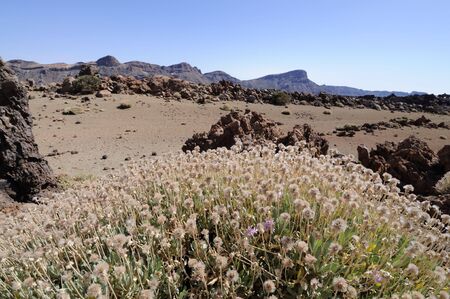 Volcanic landscape in Teide National Park, Tenerife Spainの写真素材