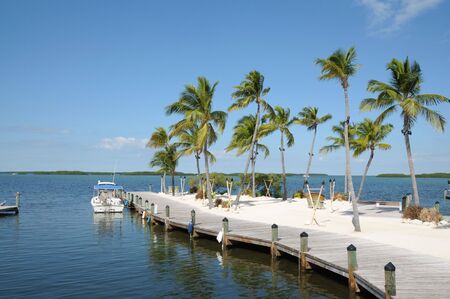 Jetty and Palm Trees on Florida Keysの写真素材