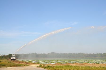 Agricultural shot - Irrigating a field, Florida USAの写真素材