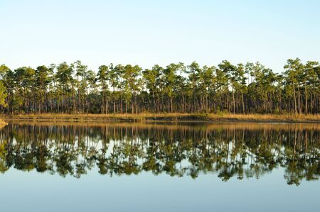 Lake in the Everglades National Park, Florida USAの写真素材