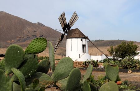Landscape with old windmill. Canary Island Fuerteventura, Spainの写真素材