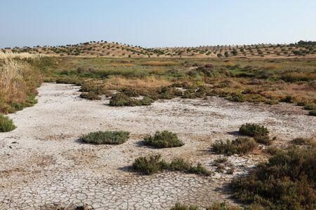Natural Preserve near Castro Marim, Algarve, Portugalの写真素材