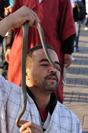 Snake charmer at Djemaa el Fna square in Marrakech, Morocco. Photo taken at 22 of November 2008のeditorial素材