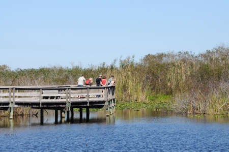 People watching wildlife in the Everglades, Florida. Photo taken at 15th of November 2009のeditorial素材