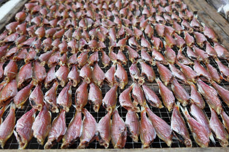 Dried fish at market in Chinese fishing villageの写真素材