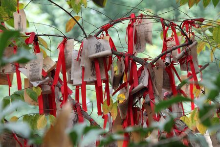 Paper prayers and wishes at Temple of Confucius in Shanghai, Chinaの写真素材