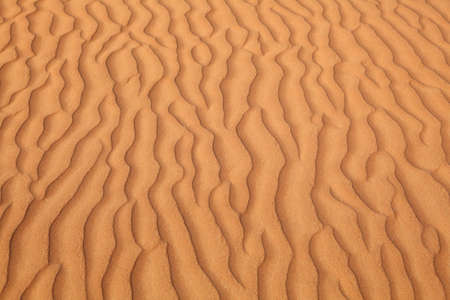 Pattern on a sand dune in a desert near Dubai, United Arab Emiratesの写真素材