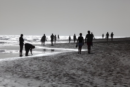 Walking on the beach, Canary Island Fuerteventura, Spain. Photo taken at 20th of December 2011のeditorial素材