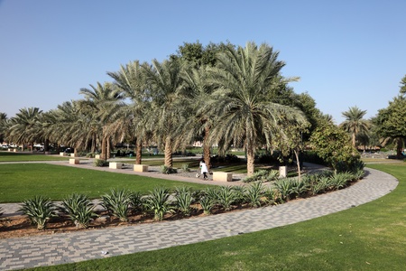 Park in Al Ain, United Arab Emirates. Photo taken at 13th January 2012のeditorial素材