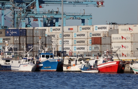 Fishing boats at the container terminal in Algeciras, Spain