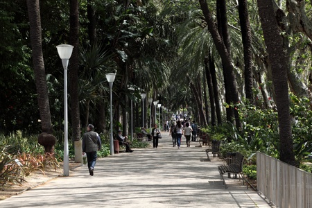 People strolling in the city park along the Paseo Parque in Malaga, Andalusia Spainのeditorial素材