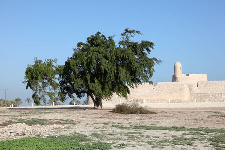 Qal'at al-Bahrain Site Museum (Fort of Bahrain) in Manama, Bahrain, Middle Eastのeditorial素材