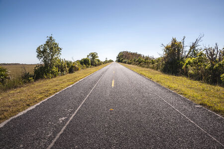 Road through the Everglades National Park in Florida, USAの写真素材