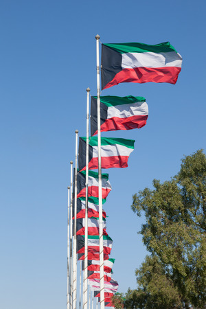 Row of Kuwait national flags. Middle East, Arabiaの写真素材