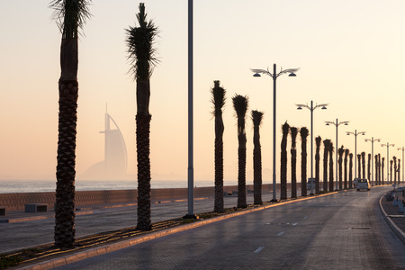 Palm trees alley at the Palm Jumeirah, Dubai, United Arab Emiratesのeditorial素材