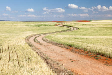 Country road through the fields. Aragon, Spain