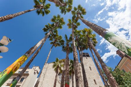 Palm trees in the old town of Girona, Catalonia, Spainの写真素材