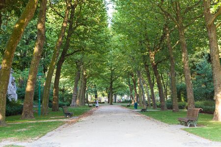 Alley in the Jubelpark in the city of Brussels, Belgiumの写真素材