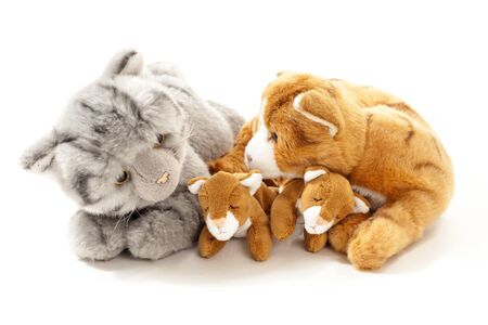 Stuffed animals cat family isolated over white backgroundの写真素材
