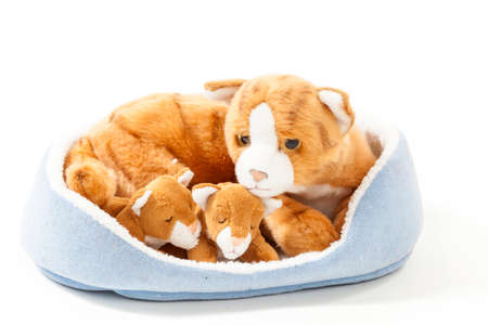 Stuffed animals cat family nest isolated over white backgroundの写真素材
