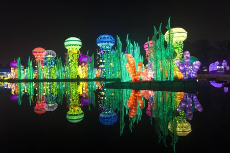 DUBAI, UAE - DEC 6, 2016: Beautiful installations at the Dubai Garden Glow family theme park illuminated at night. United Arab Emirates, Middle Eastのeditorial素材