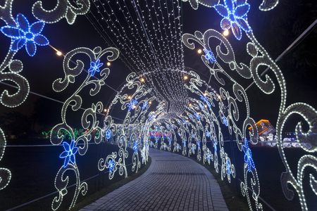 DUBAI, UAE - DEC 6, 2016: Beautiful installations at the Dubai Garden Glow family theme park illuminated at night. United Arab Emirates, Middle Eastのeditorial素材