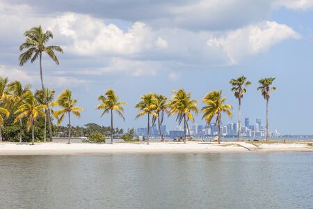 Beautiful tropical beach in Miami, Florida, United Statesの写真素材