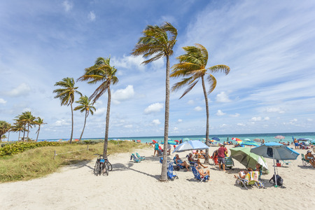 Hollywood Beach, Fl, USA - March 13, 2017: People relaxing under palm trees at the Hollywood Beach on a sunny day in March. Florida, United Statesのeditorial素材