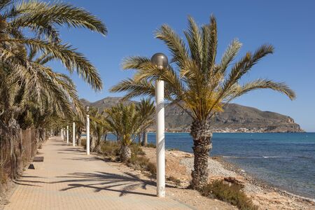 Palm trees on the promenade in La Azohia. Province of Murcia, Spainの写真素材