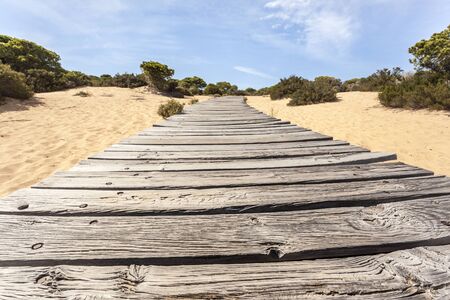 Wooden walkway in the Asperillo dunes, Donana Natural Park, Matalascanas, Huelva province, Costa de la Luz, Andalusia, Spainの写真素材
