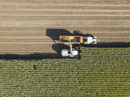 Machines harvesting corn in the field. Aerial drone shot.のeditorial素材