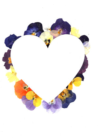 Heart frame made with pansy flowers isolated on white background.の写真素材
